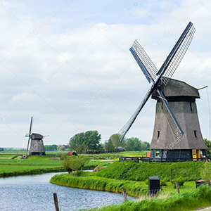 Dutch Complete Course (Beginner to Advanced levels) Image