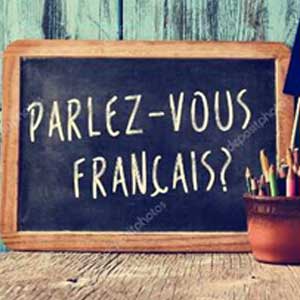 French Complete Language Course (Beginner to Advanced) Image